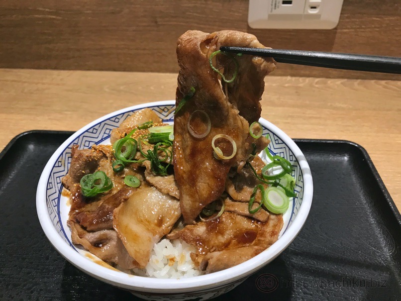 Yoshinoya sauce pork 14
